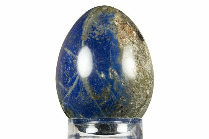 Polished Lapis Lazuli Egg - Chile #308877